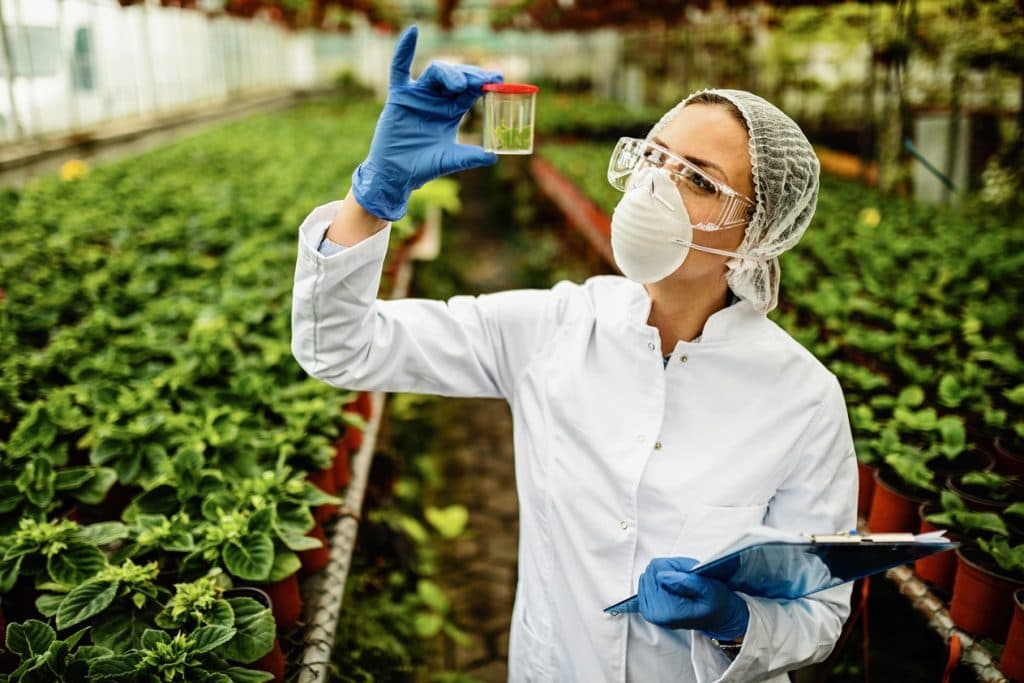Projeto de edição gênica da TMG apoiado pelo FI Group by EPSA obtém aprovação da FINEP